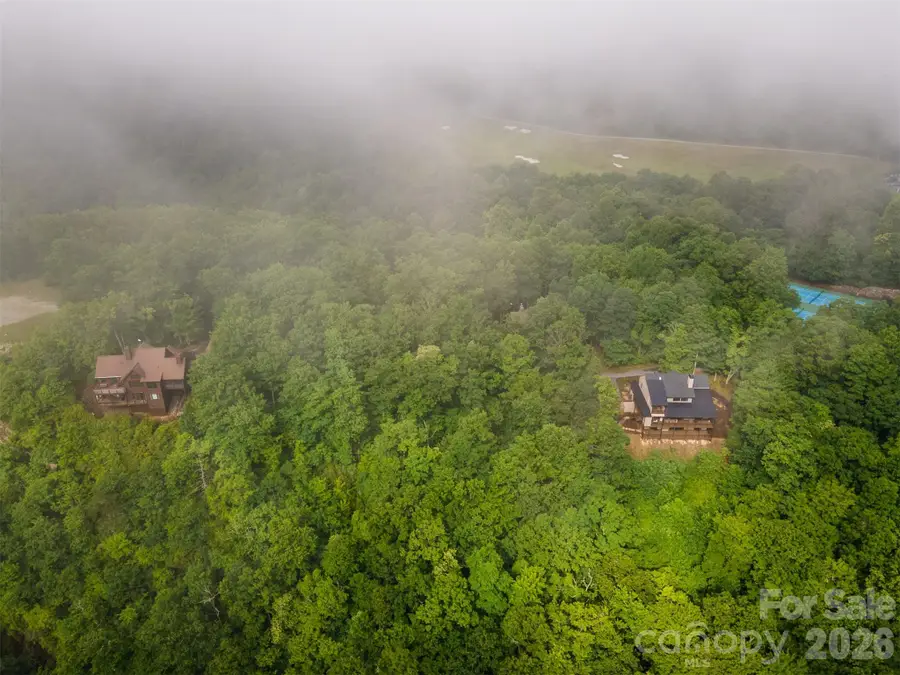 633 Steeplebush Court, Tuckasegee, NC 28783 - #3