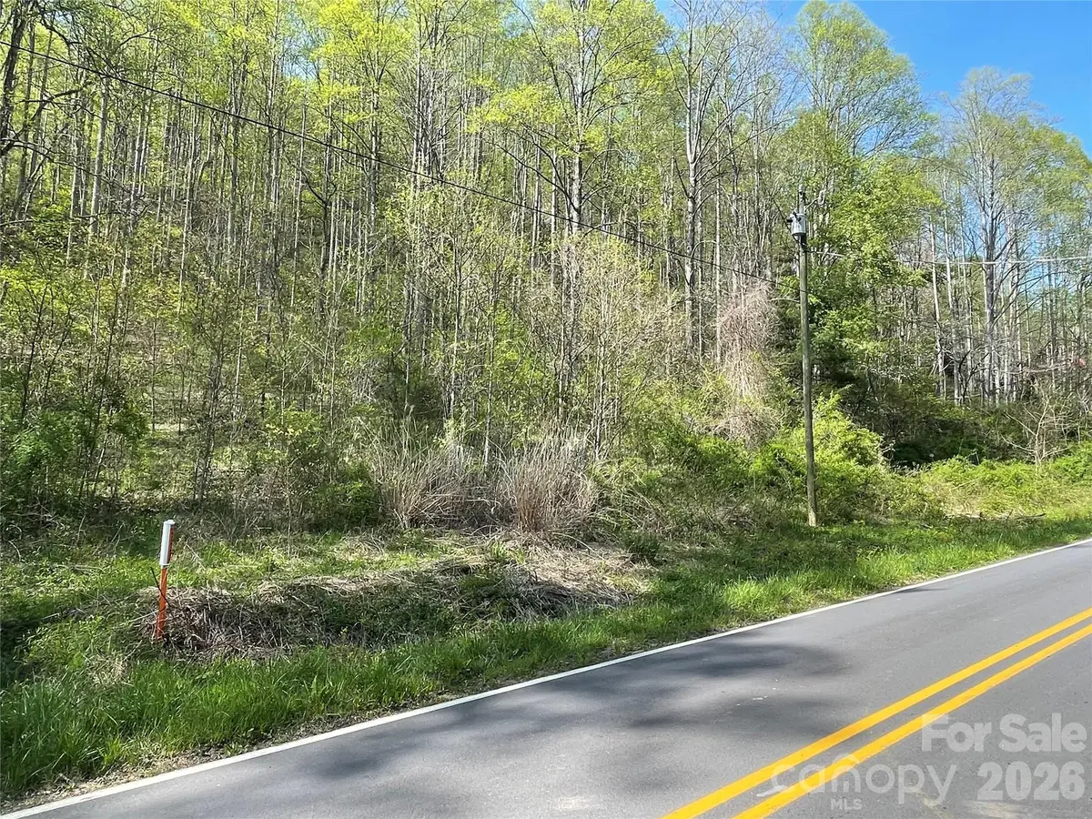 99999 Martins Creek Road, Barnardsville, NC 28709 - #1