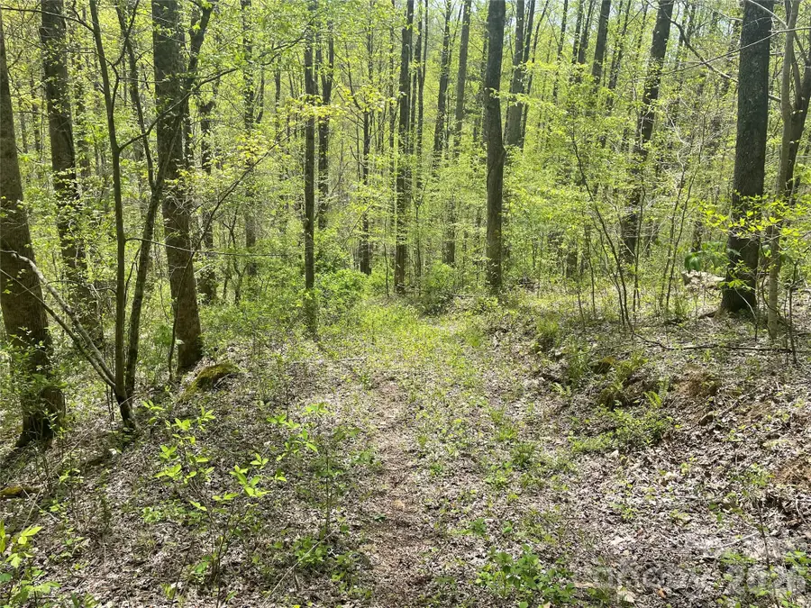 99999 Martins Creek Road, Barnardsville, NC 28709 - #2