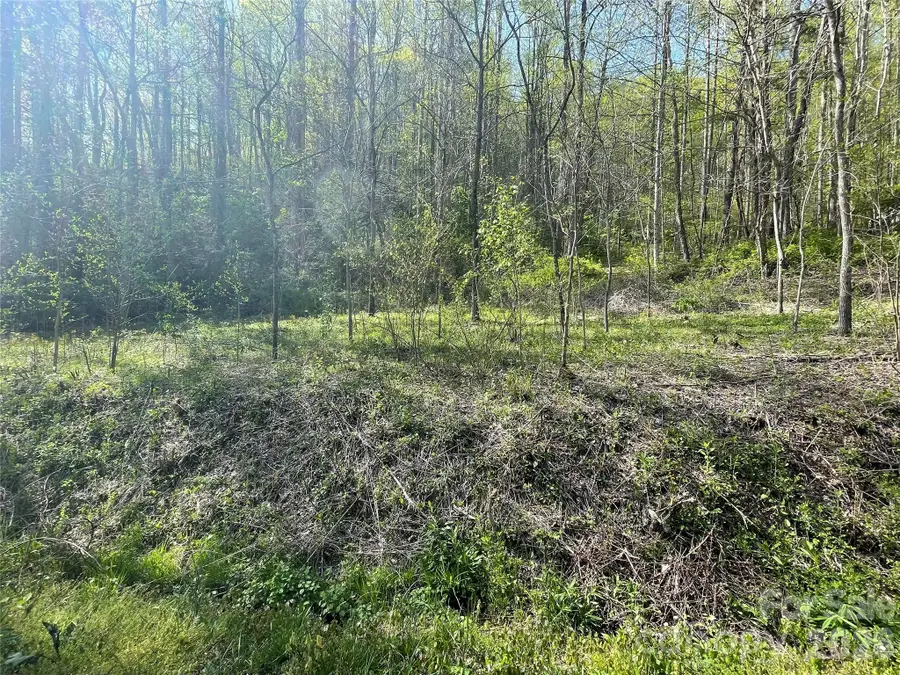 99999 Martins Creek Road, Barnardsville, NC 28709 - #3