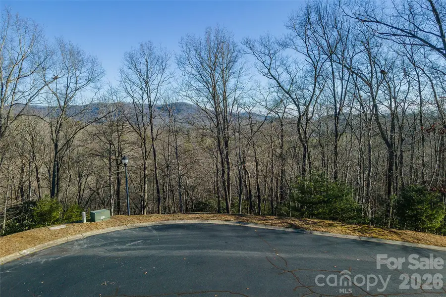 80 Buckhead Trail #27, Horse Shoe, NC 28742 - #2