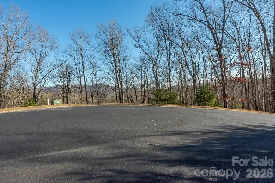 80 Buckhead Trail #27, Horse Shoe, NC 28742 - #3