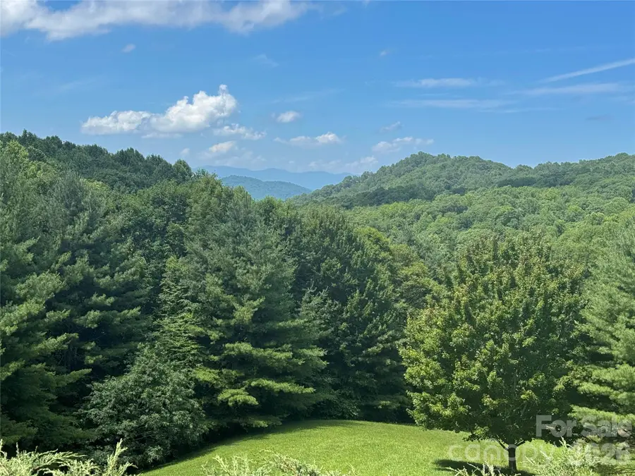 299 Basswood Road, Hot Springs, NC 28743 - #2