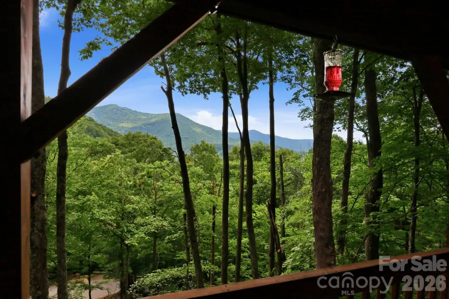 588 Tawodi Trail, Maggie Valley, NC 28751 - #3