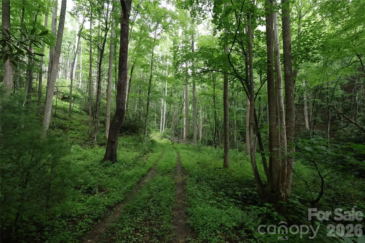 TBD Blowing Rock Road, Lenoir, NC 28645 - #1