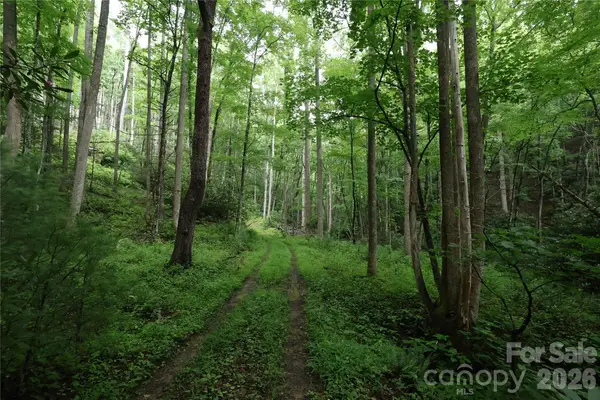 TBD Blowing Rock Road, Lenoir, NC 28645