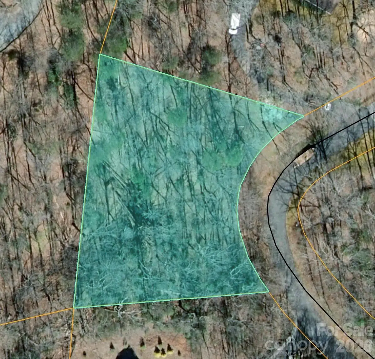 0000 Duck Pond Lane, Columbus, NC 28722 - #1