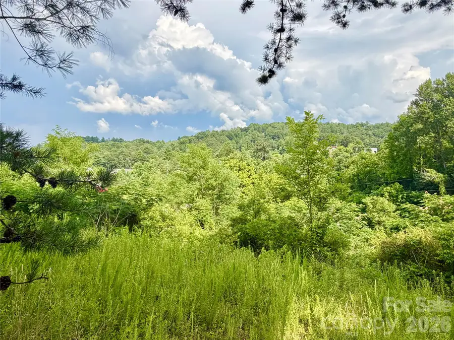 100 Sprouse Town Road, Weaverville, NC 28787 - #3