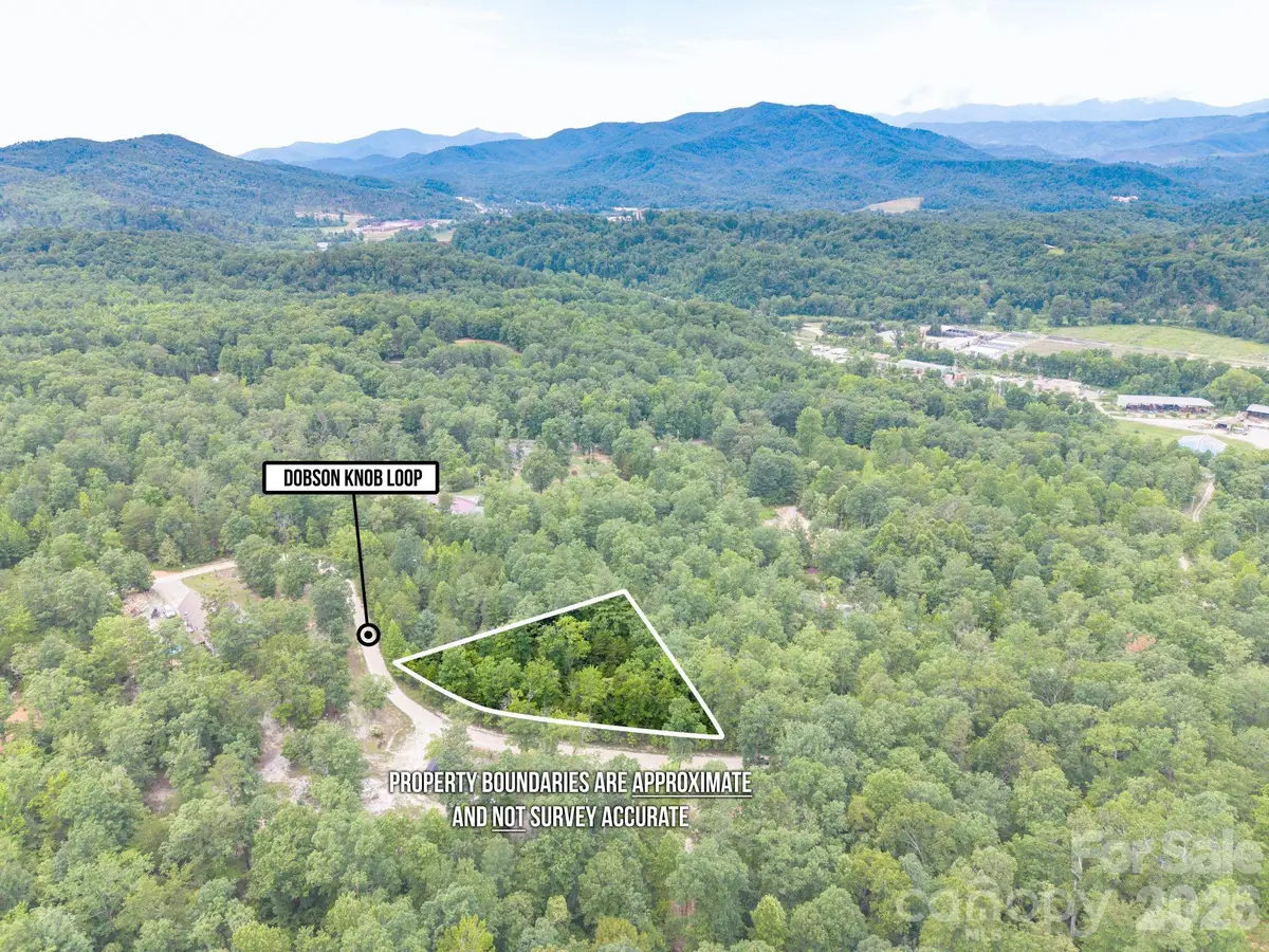 6 Dobsons Knob Loop, Marion, NC 28752 - #1