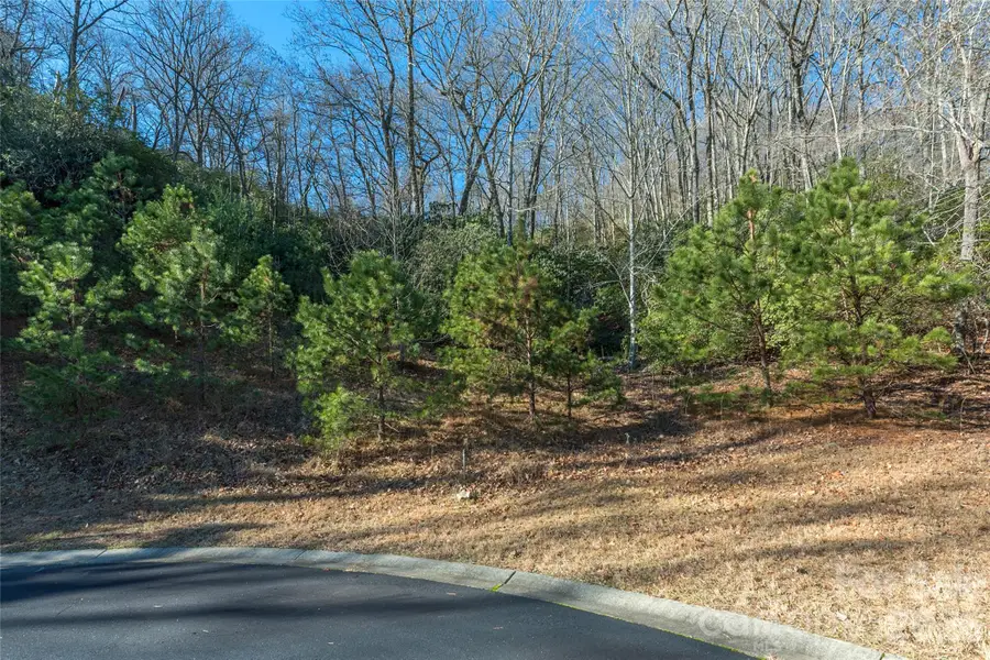 9999 Mayfly Lane #106, Horse Shoe, NC 28742 - #3
