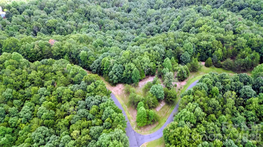 00 Fallen Tree Lane #19, Mill Spring, NC 28756 - #2