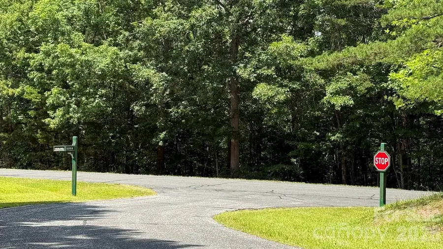 00 Fallen Tree Lane #19, Mill Spring, NC 28756 - #3