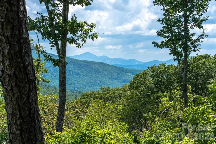 99999 E Garden Trail #46, Fletcher, NC 28732 - #2
