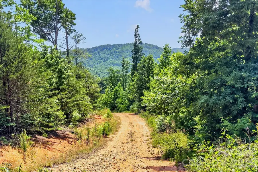 272 Randolph Drive #1, Marion, NC 28752 - #3