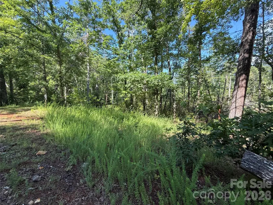 999 Fox Ridge Trail #7, Marion, NC 28752 - #3