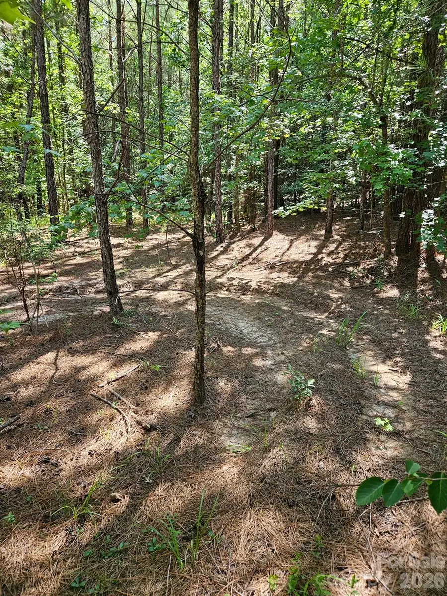 00 Cypress Drive, Winnsboro, SC 29180 - #2