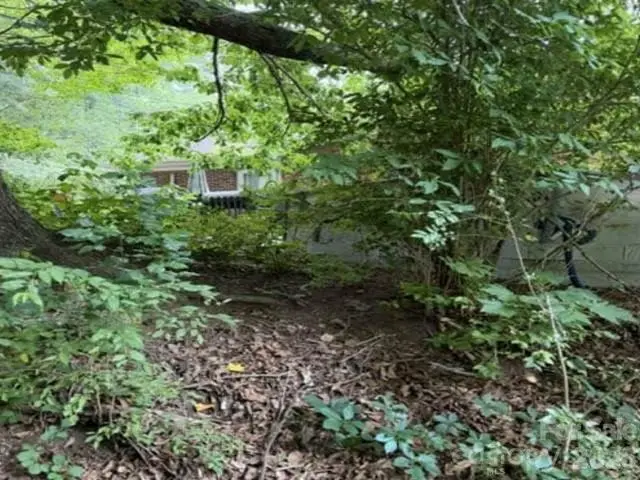 3 S And T Spirit Drive, Candler, NC 28715 - #1