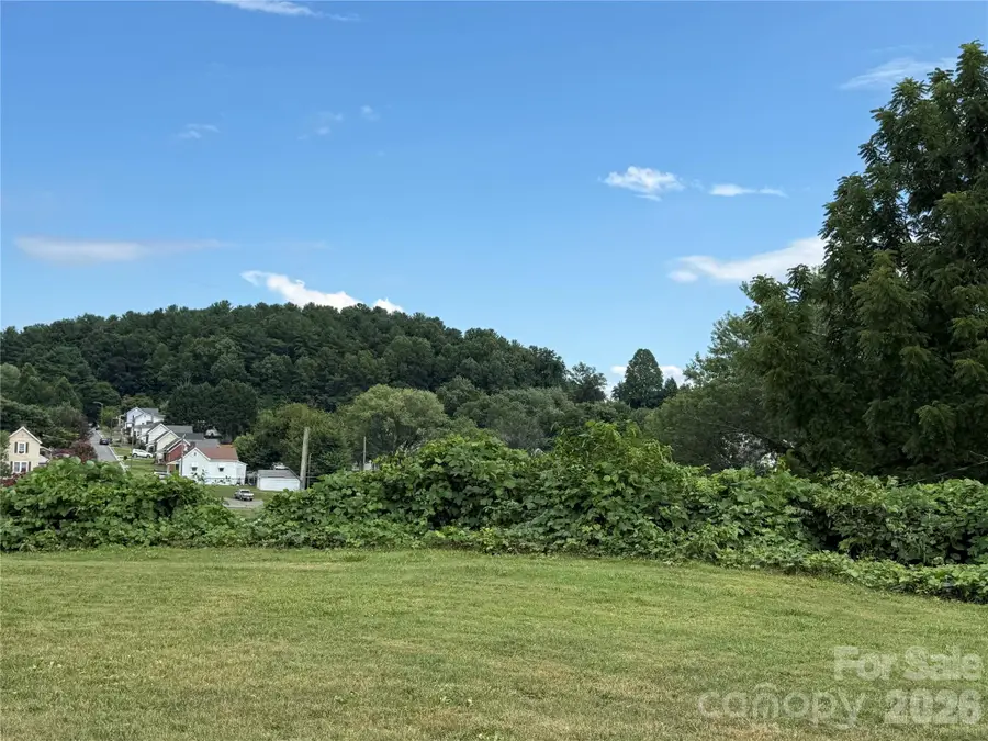 368 Morehead Road, Marion, NC 28752 - #2