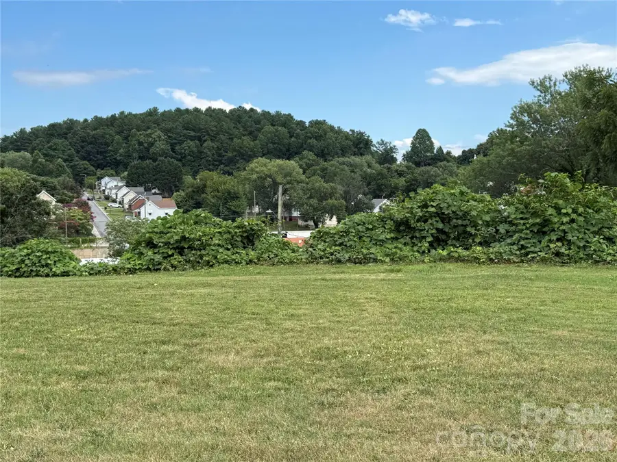 368 Morehead Road, Marion, NC 28752 - #3
