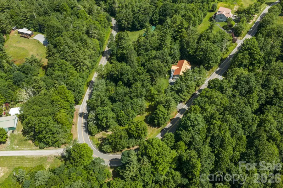 9081 Pittmans Gap Road, Newland, NC 28657 - #3
