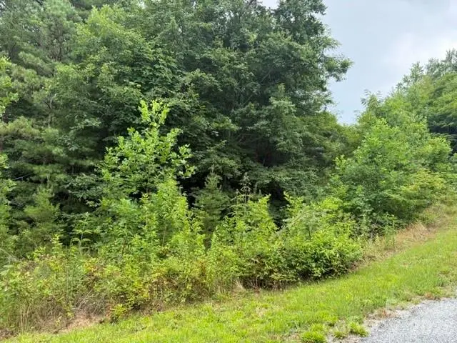 12 Silverstone Drive, Hendersonville, NC 28792 - #1