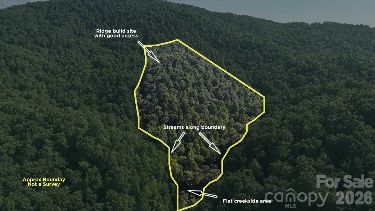 454 Forest Brook Road, Black Mountain, NC 28711 - #1