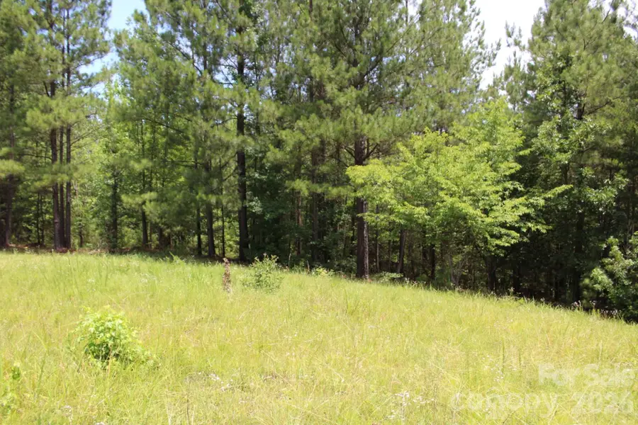 000 John Watson Road, Rutherfordton, NC 28139 - #2