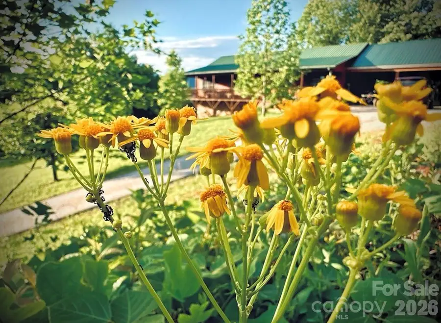 3430 Tranquil Hills Drive, Lenoir, NC 28645 - #3