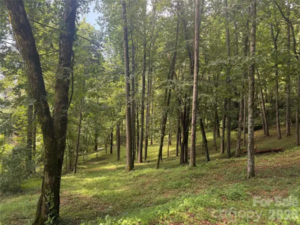89 Split Rock Trail #56, Arden, NC 28704