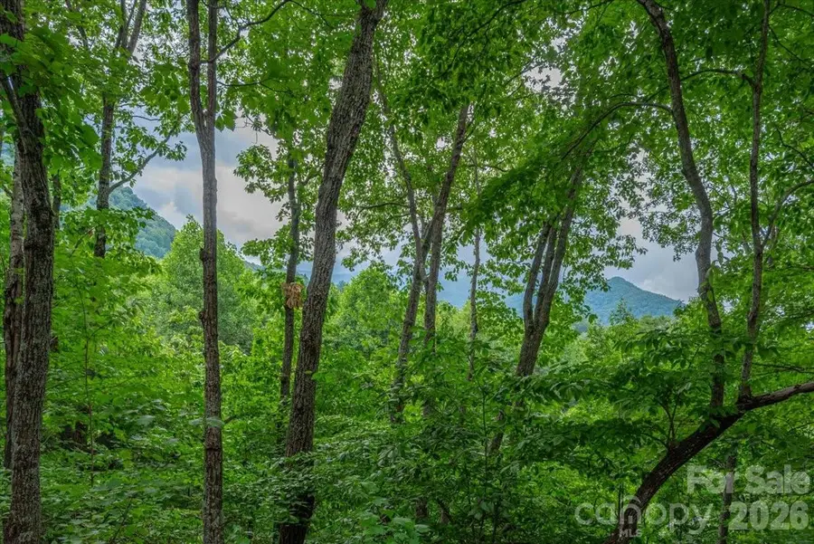 30 Rhododendron Drive, Waynesville, NC 28786 - #2