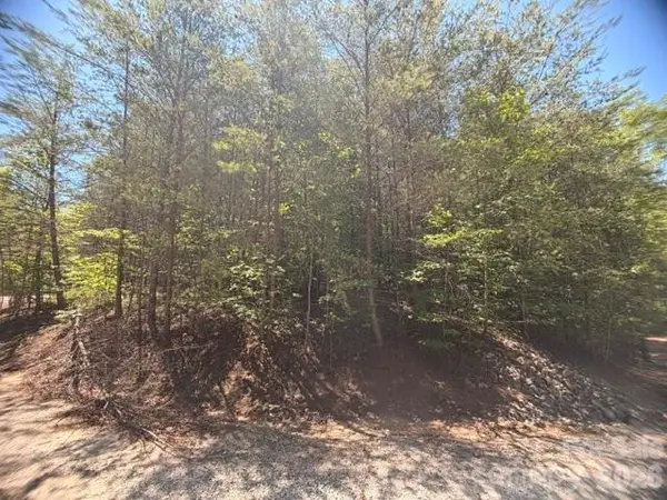 00 Sundance Drive #5-IV, Nebo, NC 28761