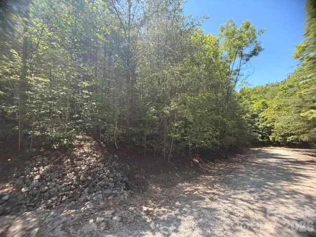 00 Sundance Drive #5-IV, Nebo, NC 28761 - #2