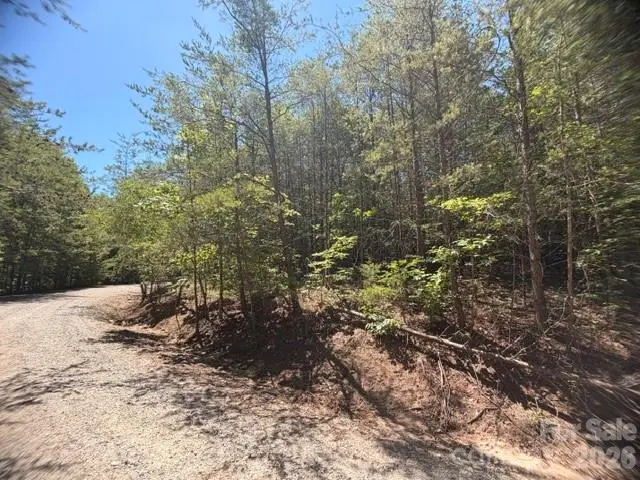 00 Sundance Drive #5-IV, Nebo, NC 28761 - #3
