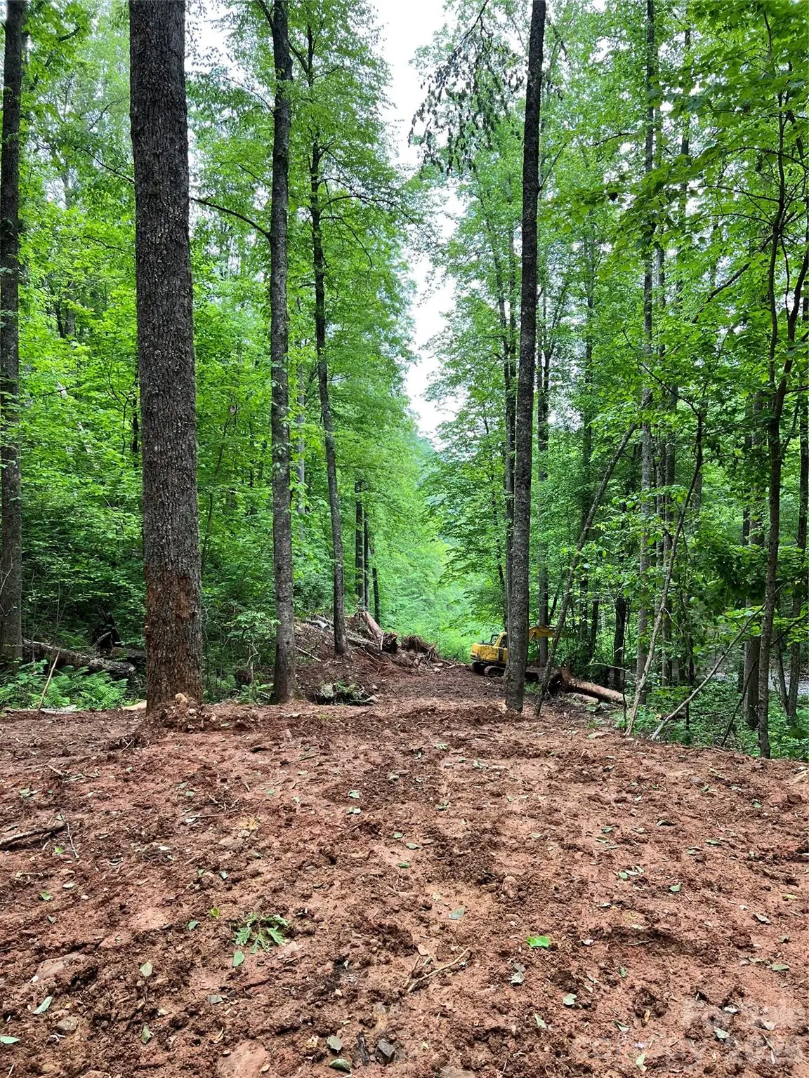 533 Enchanted Forest Drive, Sylva, NC 28779 - #1