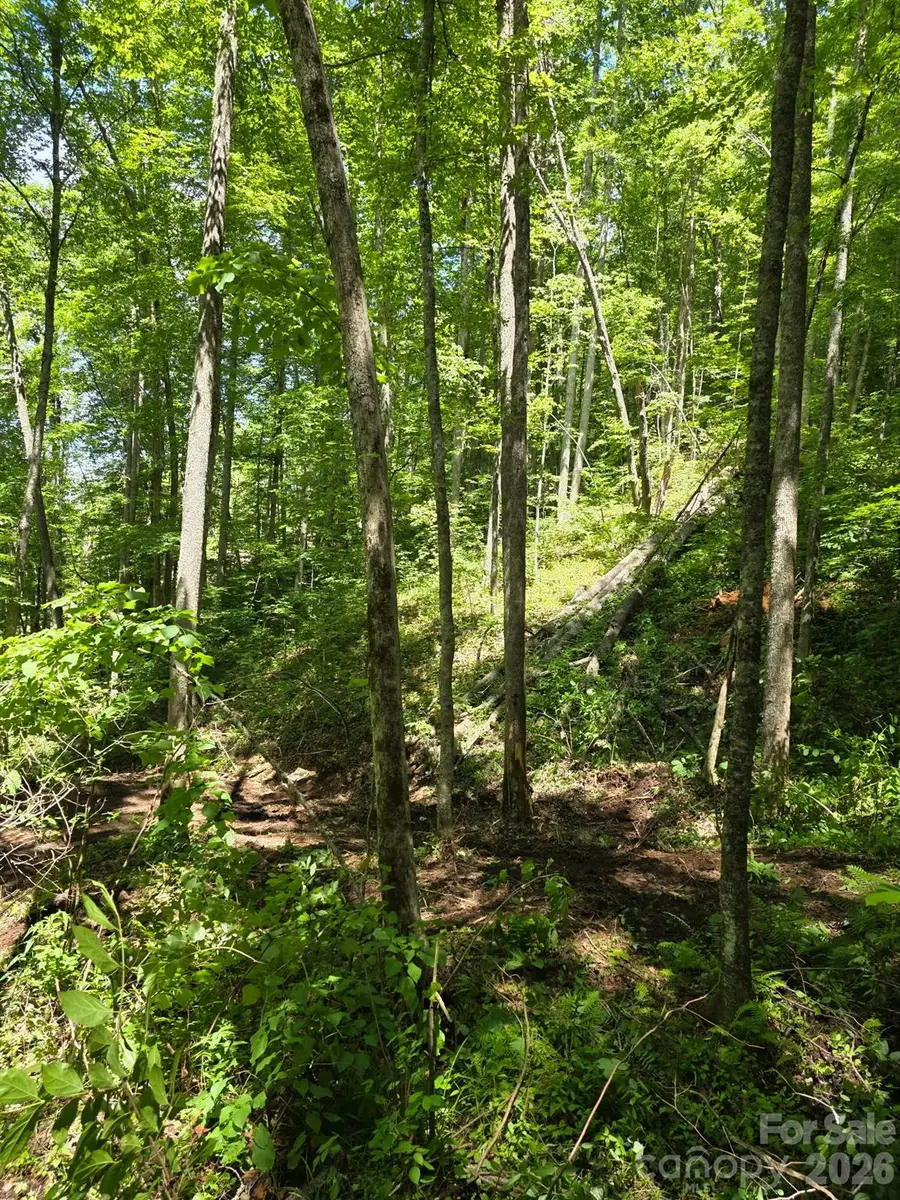 533 Enchanted Forest Drive, Sylva, NC 28779 - #2