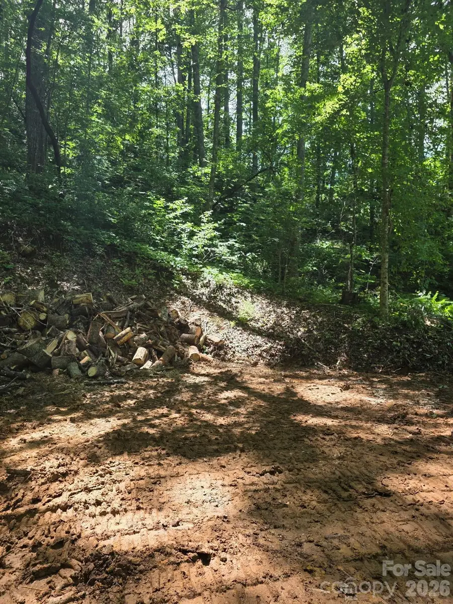 533 Enchanted Forest Drive, Sylva, NC 28779 - #3