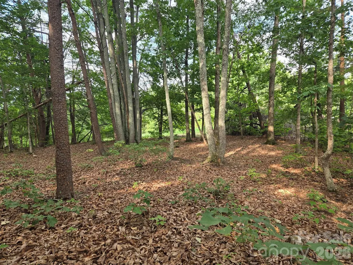 1236 Smithfield Drive, Hudson, NC 28638 - #1