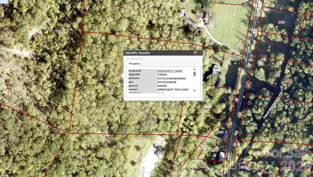 99999 Paint Fork Road, Barnardsville, NC 28709 - #1