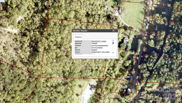 99999 Paint Fork Road, Barnardsville, NC 28709