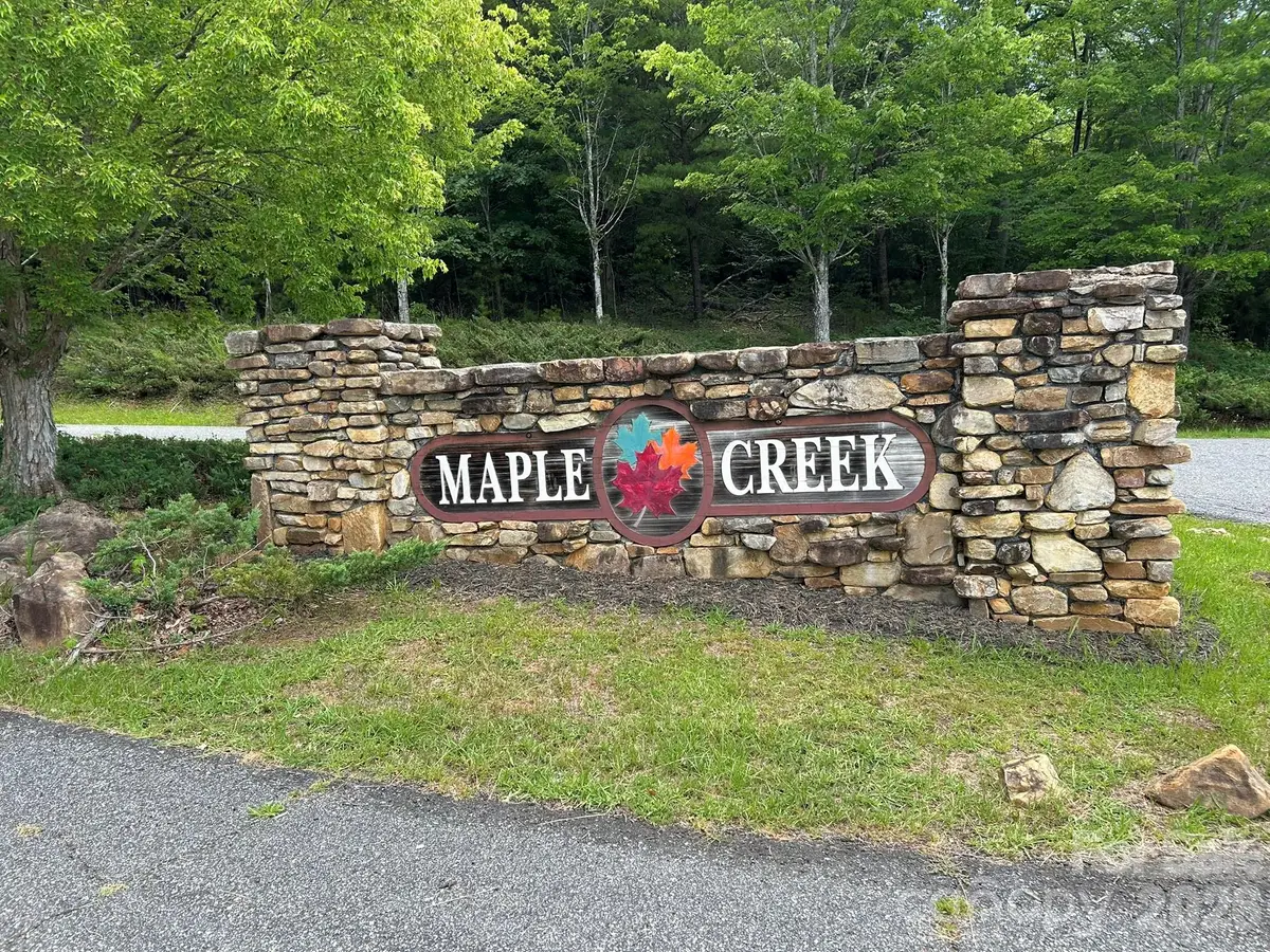00 Wilderness Ridge, Rutherfordton, NC 28139 - #1