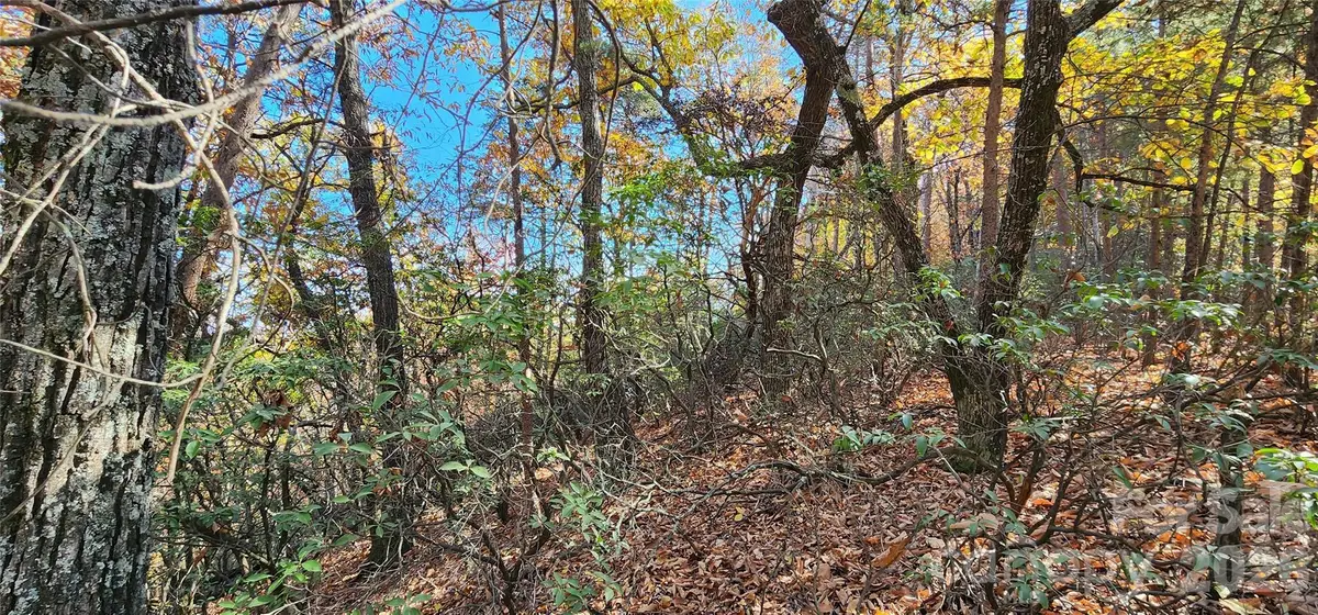 Lot 22 A Pinnacle Parkway #22 A, Union Mills, NC 28167 - #1