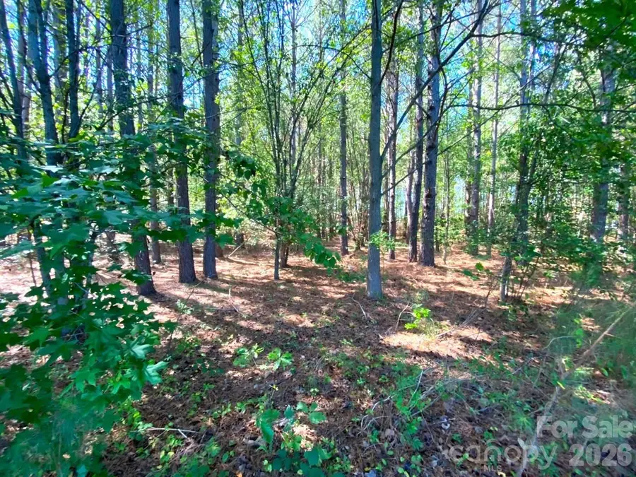 147 - Lot B Baxter Road, Waco, NC 28169 - #2