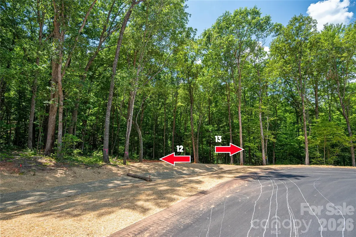 6220 Pineside Drive #13, Denver, NC 28037 - #1