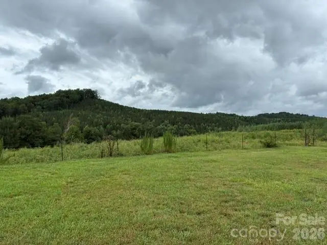 83 Acres +/- Pleasant Grove Road, Rutherfordton, NC 28139 - #1