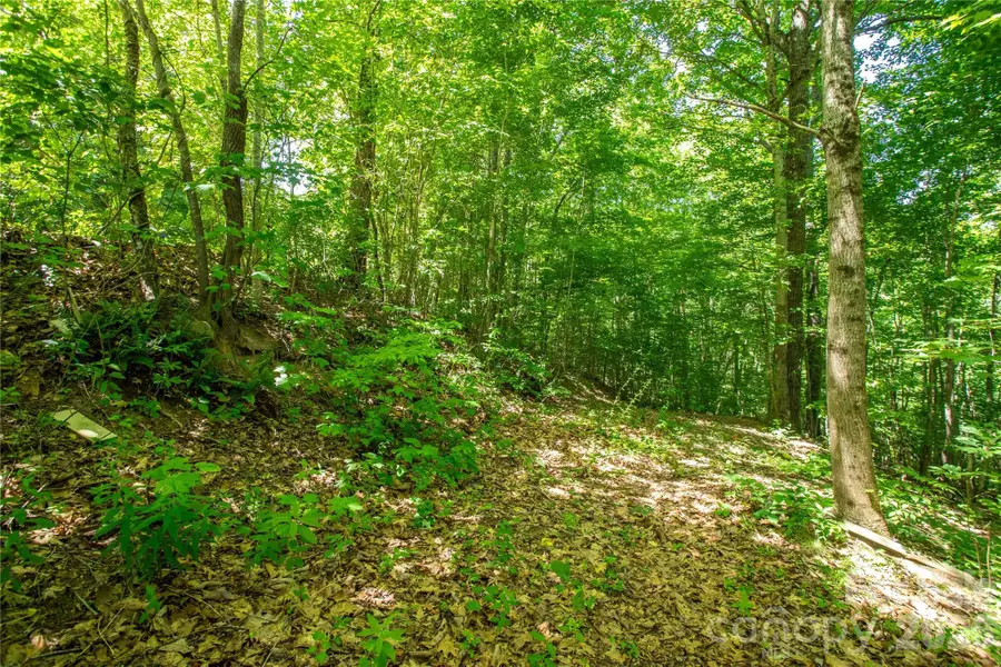 71 Timberwood Drive, Asheville, NC 28806 - #2