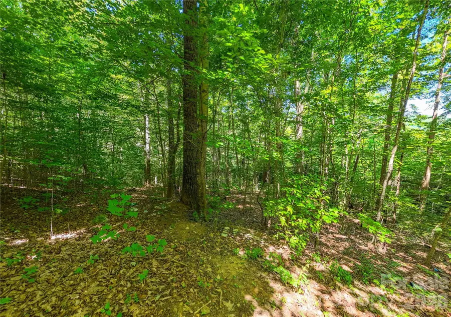 71 Timberwood Drive, Asheville, NC 28806 - #3