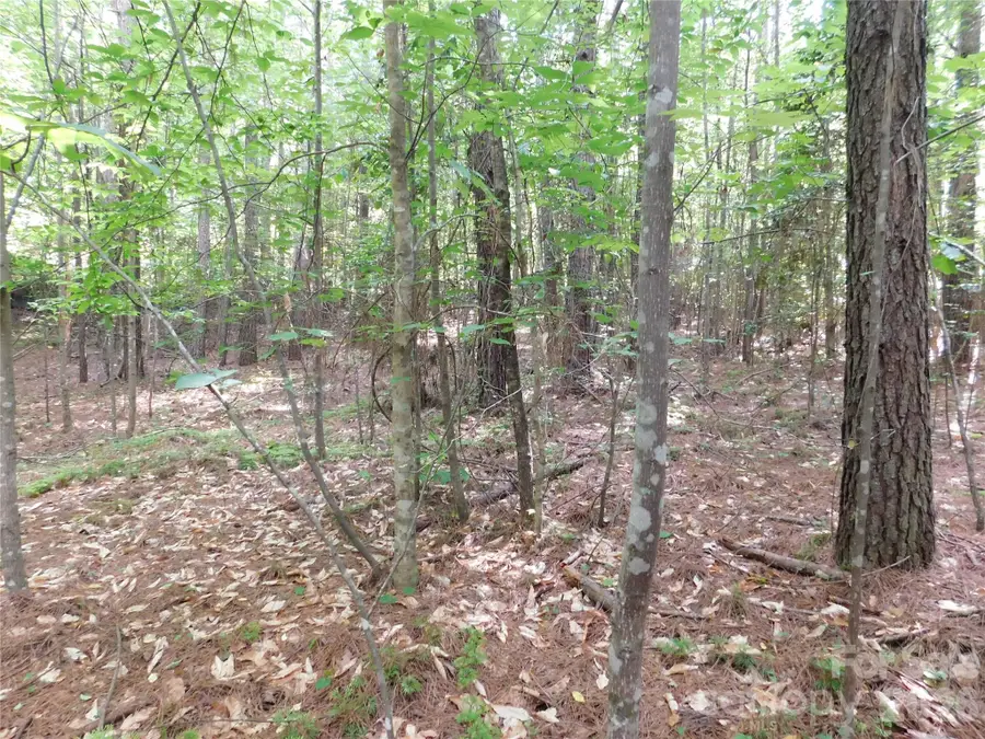 207 W Settings Boulevard Nw, Valdese, NC 28690 - #2