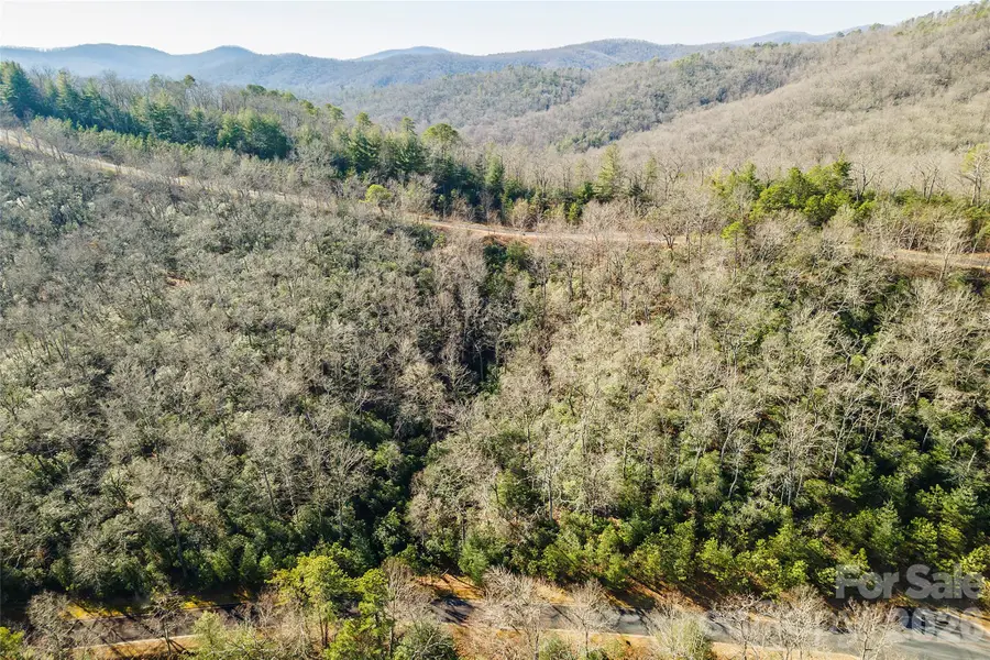 99999 Mills River Way #108, Horse Shoe, NC 28742 - #2