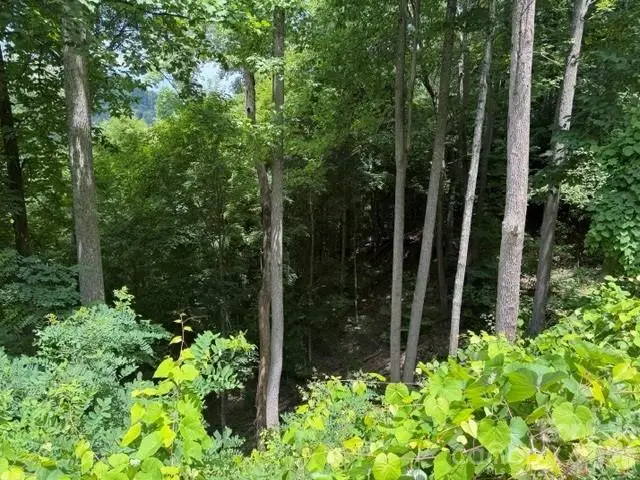 Lot 22 Spring Rock Road, Burnsville, NC 28714 - #2