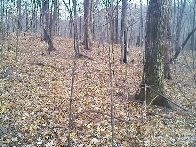 Lot 246 Glen Ridge Trail, Lake Lure, NC 28746 - #3